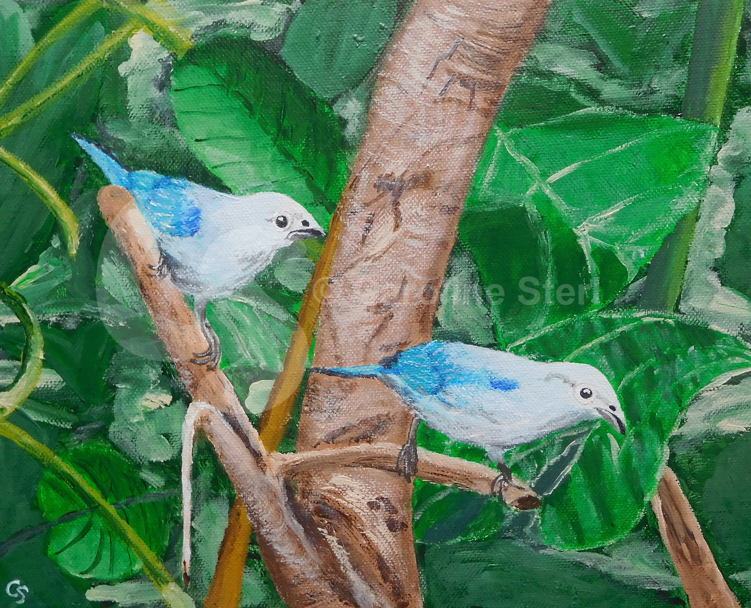 Painting: Blue-grey Tanager